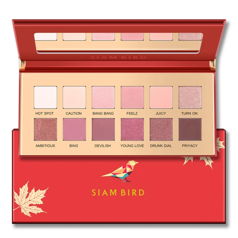 

12 Colors Silky Powder Pigmented Eyeshadow Palette Matte Shimmer Blendable Bright Eye Shadow Pallete