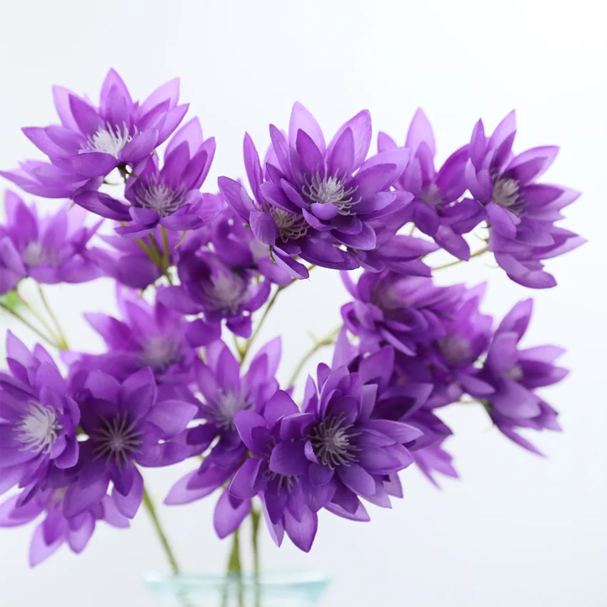 11149146727_773204859