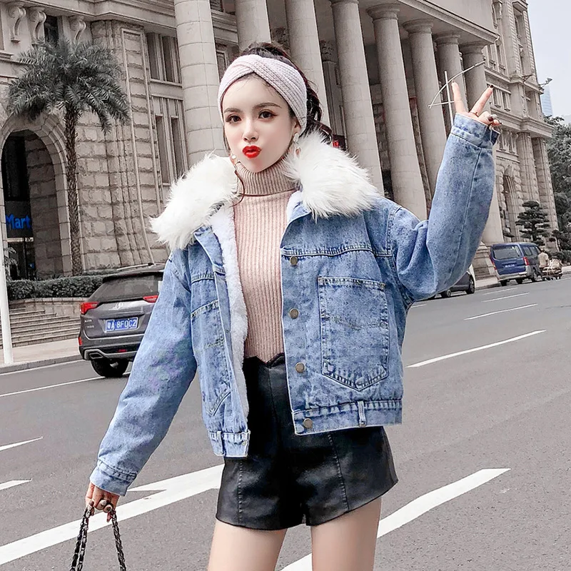 

Cotton Coat Women's Autumn And Winter 2019 New Style Lambs Wool Jeans Coat Women's Short Brushed And Thick Large Fur Collar Warm