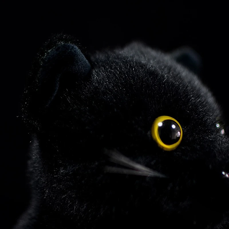 Jouets En Peluche De Chats Noirs Realistes De 23cm Chaton Assis Animaux Doux Cadeaux Pour Enfants Aliexpress