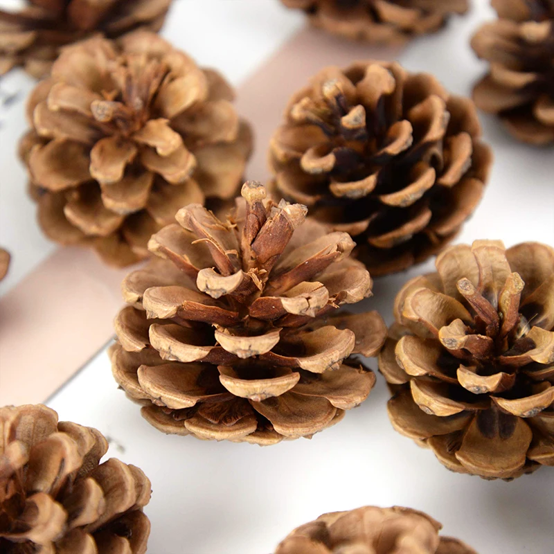 1-10pcs Natural Pine Nuts Fruit Dried Artificial Flower Pineapple Cones for Christmas DIY Garland Wreath Wedding Home Decoration