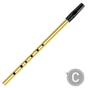 

NAOMI 6 Holes Tin Whistle Traditional Irish Penny Whistle Brass Material Musical Instrument for Beginners, Key of C