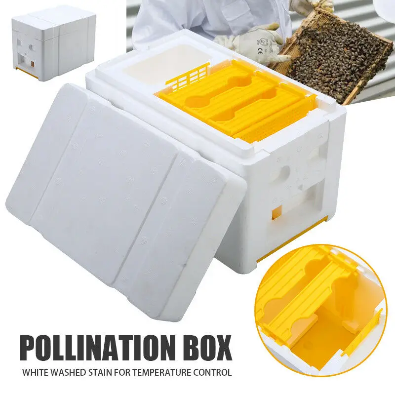 Пчелиный улей Пчеловодство королевская коробка Pollination Box пены рамки инструмент пчеловода комплект