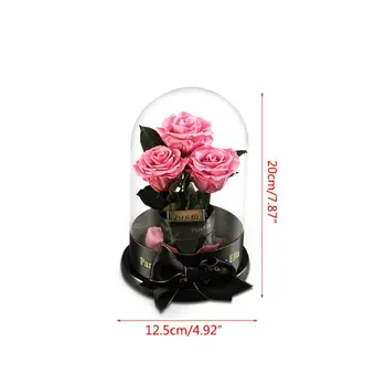 

Enchanted Rose Handmade Preserved Rose Glass Dome on Wood Base N1HA