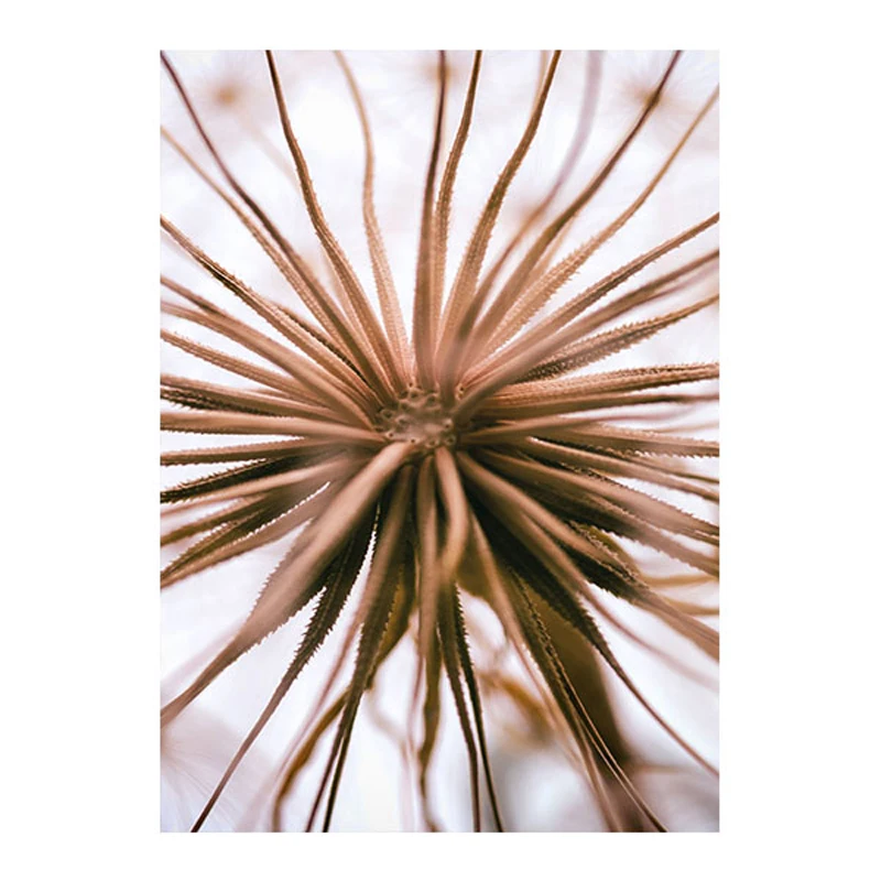 P-ster-e-impress-es-n-rdicas-para-decora-o-arte-em-tela-com-pontas-de.jpg_.webp_640x640 (5)