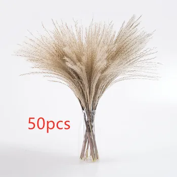 

50pcs Small Pampas Grass reed natural dried plant Wedding Flower Bunch Natural Plants Decor Home Decor Dried Flowers