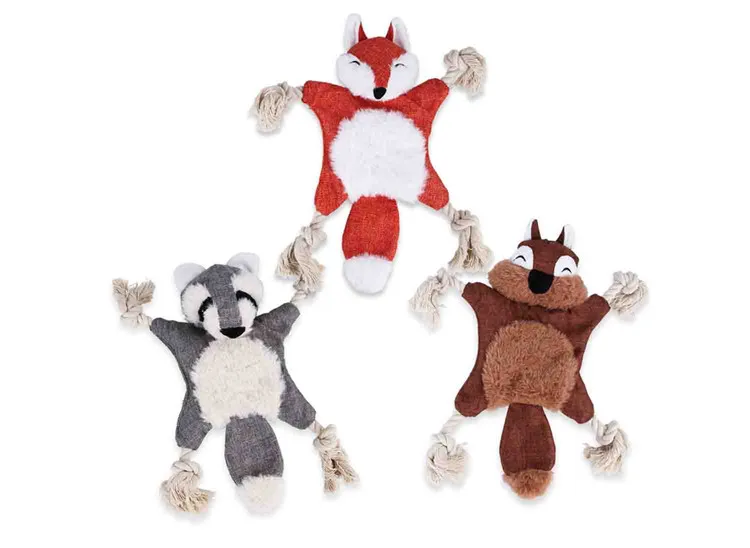 11028504209_906868034