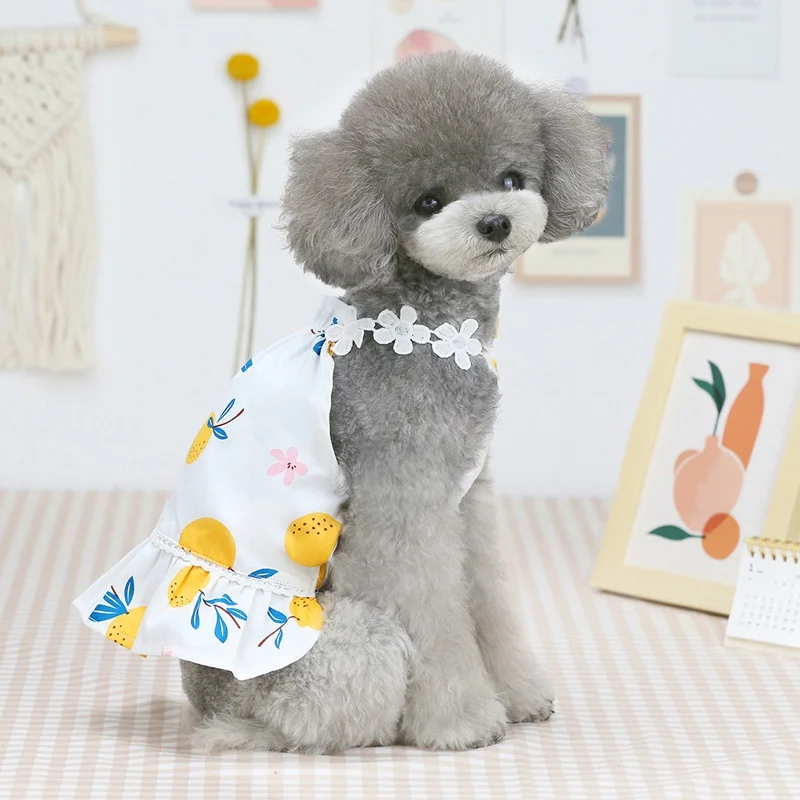 Dog Dress Skirt Summer Print Vest Pet Clothes for Small Dogs Yorkies Chihuahua Princess Dresses Puppy Clothing T-shirt