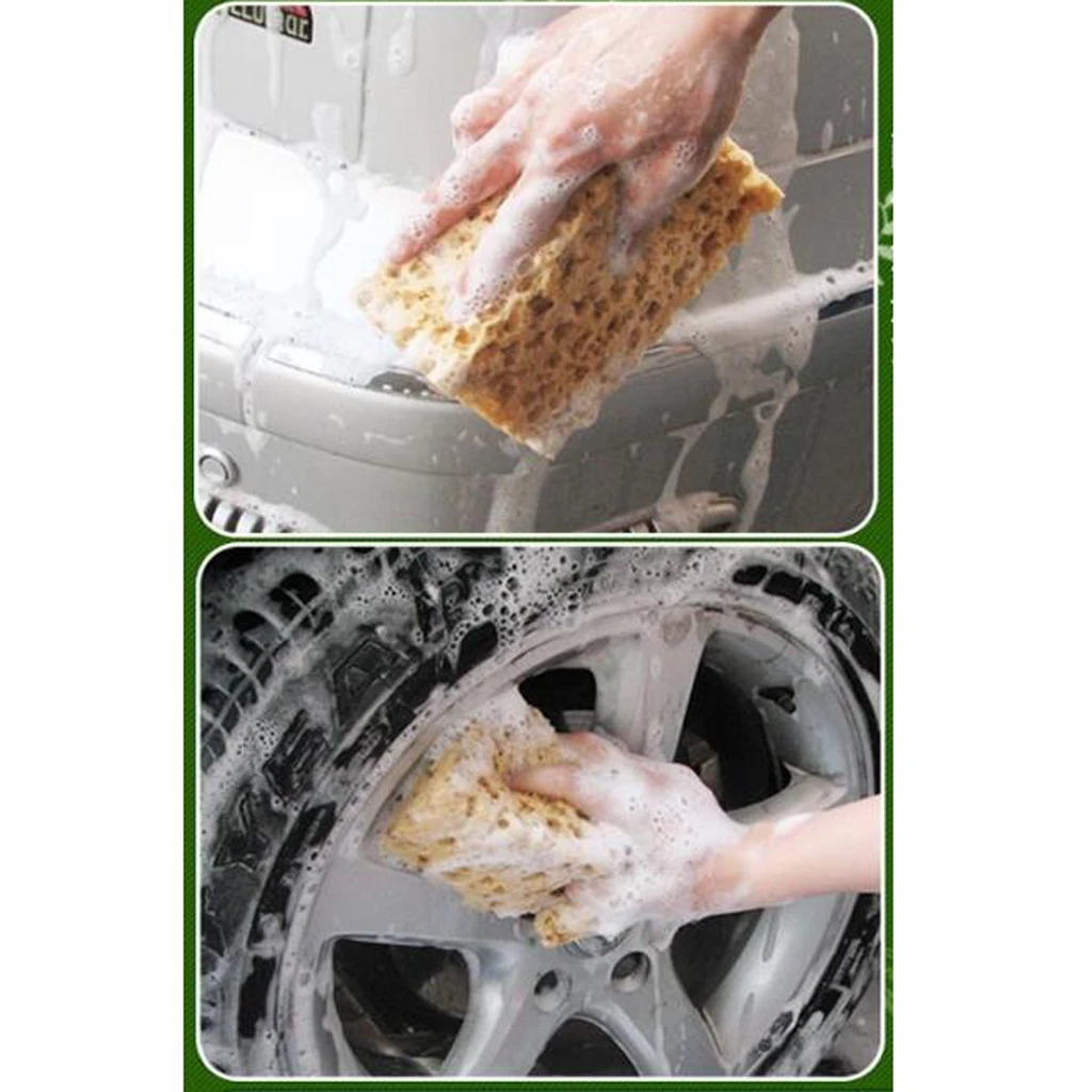 Coral Cleaning Sponge Washing Pad for Car/Bathroom/Window/Floor/ Furniture 21*11*9cm
