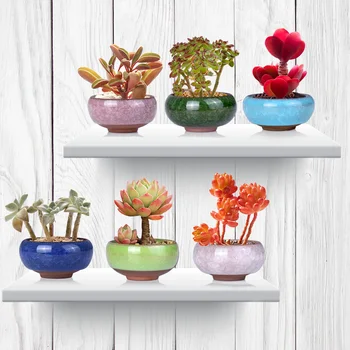 

6Pcs/Set Ceramic 2020 New Ceramic Flower Pot Lot Mini Cement Succulent Pot Plant Bonsai Home Garden Decor Oddish Planter