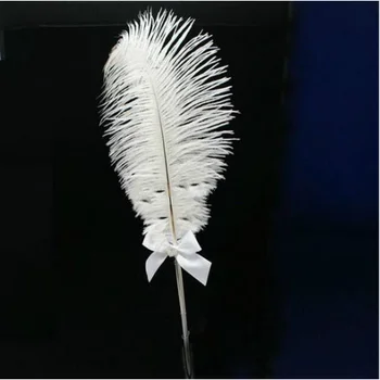 

Ostrich Feather Wedding Pen Sign In Book Wedding Ceremony