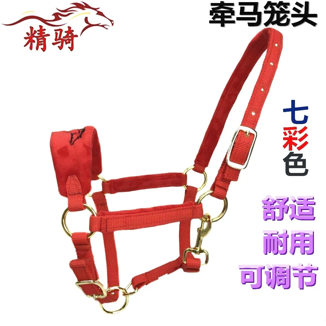 Horse Bridle Color Lead Horse Training Bridle Size Pony Dragon Head