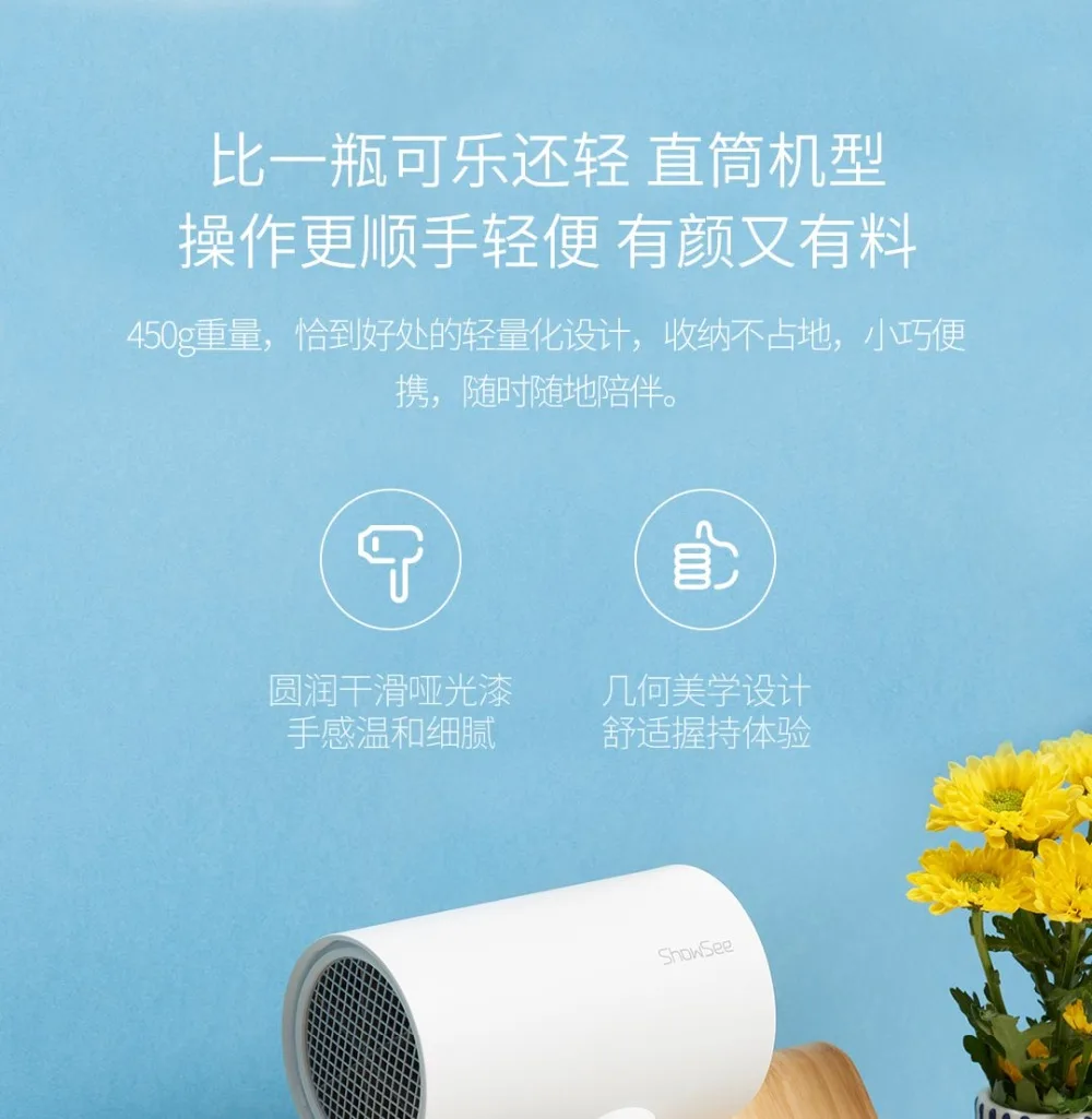 A1-W Anion Hair Dryer  (11)
