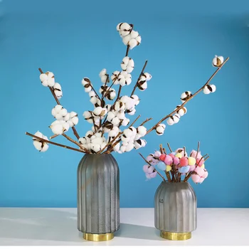 

3 Pcs Natural Cotton Balls Dired flower Plants dry Real Flowers Wedding Party Christmas Home diy Decoration white colour