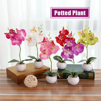 

Artificial Flower Plastic Moth Orchid Fake Plant Simulation Flower Beautiful Gift Decoration Handmade