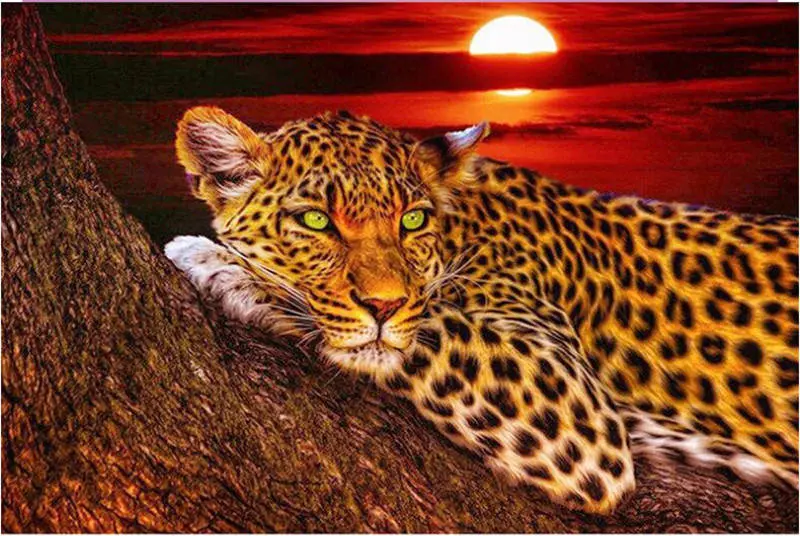 Leopard animals Новое поступление рукоделие DIY Кристалл полная дрель квадратная 5D алмазная живопись Набор для вышивки крестиком Мозаика круглые стразы - Цвет: Leopard 23