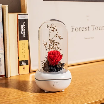 

LED Eternal Flower Essential Oil Aromatherapy Machine USB Charging Portable Mini Colorful Gradient Diffuser 800mAh