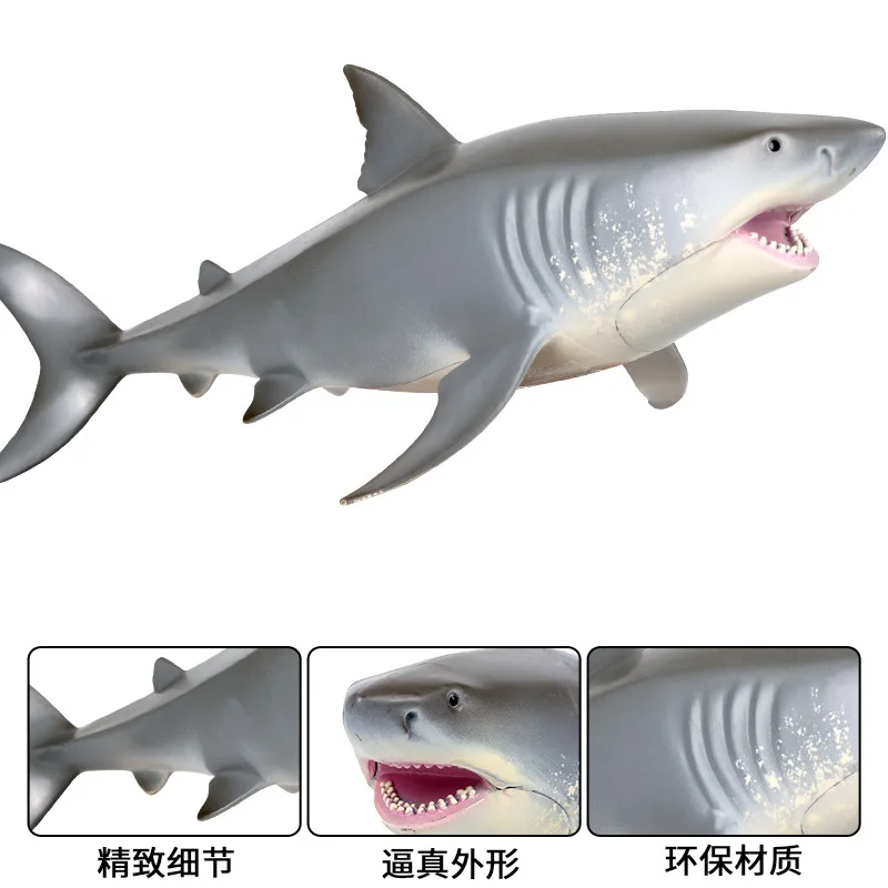 

Children Model Marine Organism Animal Great White Shark Megalodon Tiger Shark Hammerhead Shark Model Toy