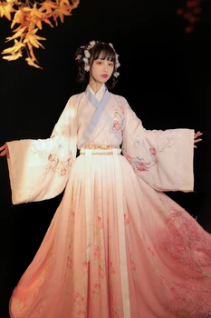 

2020 chinese style hanfu and daily adult female students traditional costume embroidery fresh and elegant photo suit