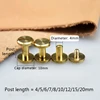 10pcs Solid Brass Binding Chicago Screws Nail Stud Rivets For Photo Album Leather Craft Studs Belt Wallet Fasteners 10mm cap ► Photo 3/5