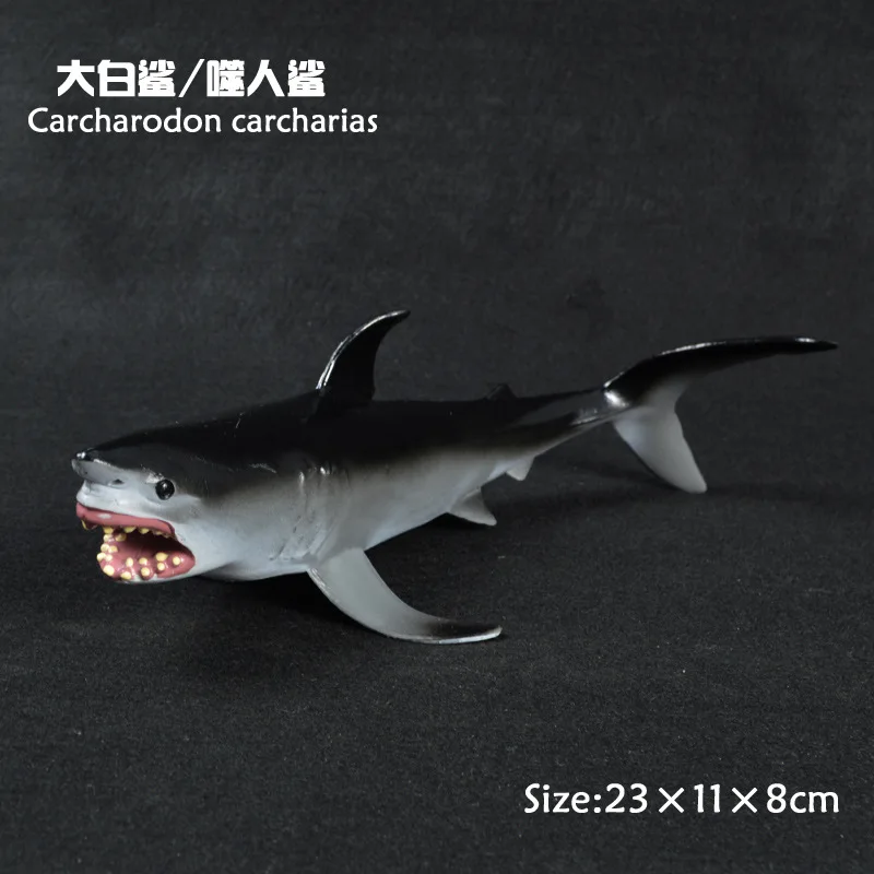 

Children Model Solid Animal Park Oceans World Great White Shark Carcharias Shark Oceans Animal Model