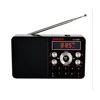Portable Audio 