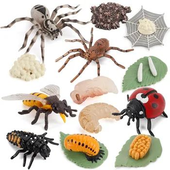 

Simulation Animal Model Child Mini Arthropod Life Cycle Of Spider Bee Ladybugs Model Action Figures Doll Toy For Kid Decoration
