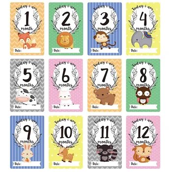 

12 pcs / set Sheet Milestone Photo Sharing Cards Gift Set Baby Age Cards Baby Photo Cards Newborn Photo Photography Accessories