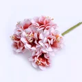 Image 14