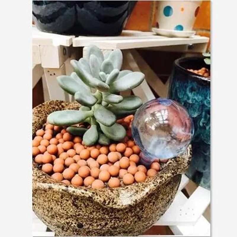 2 шт. колба для полива цветов оросительное устройство растений система