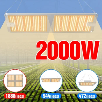 

LED Phyto Light 1000W 2000W 4000 Grow Lamp LED Full Spectrum Greenhouse Flowers Plant Growing Lights LED Seedling Fito Lampada