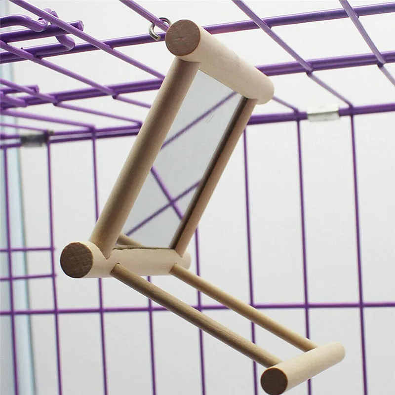 Bird toy (5)