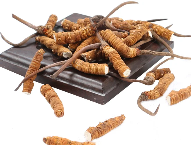 3g/10g Тибет Nagqu кордицепс sinensis питательная еда|Устройство для ухода за кожей лица| |