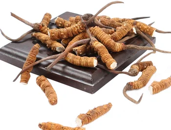 

3g/10g Tibet Nagqu Cordyceps sinensis Nourishing food