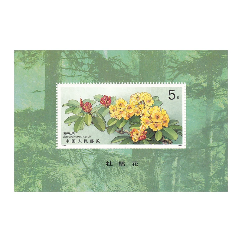 

1 лист, новинка, фотобумага, 1991 T162M, Rhododendron, фотобумага