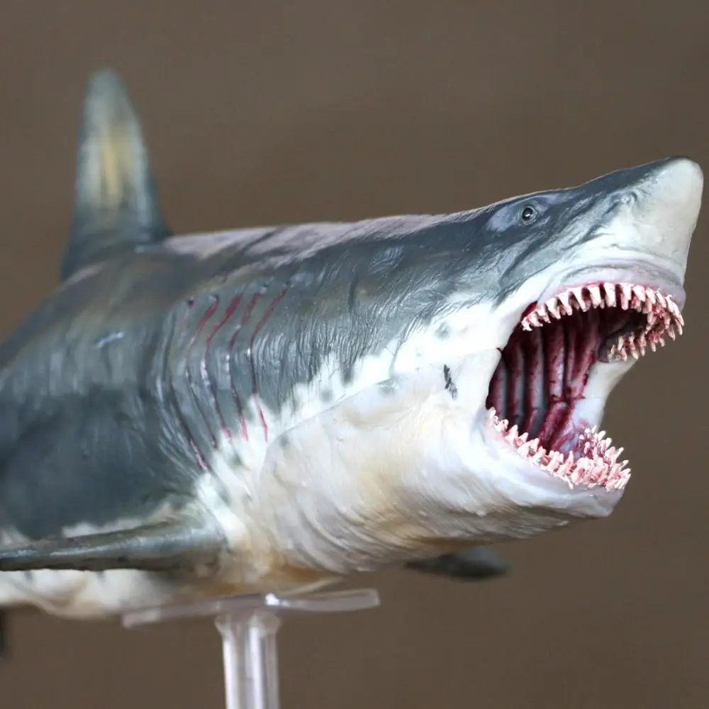 PNSO Megalodon виниловая модель окрашенная статуя акулы 32cmL в коробке коллекция