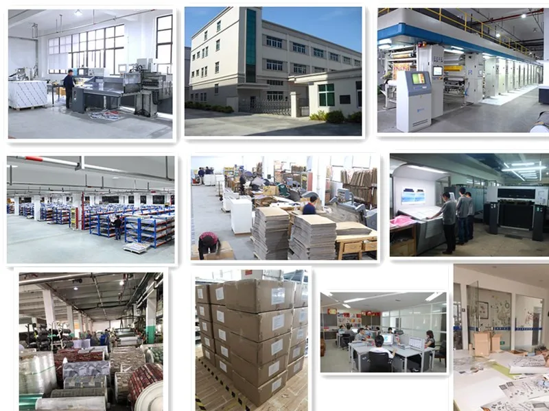 92569ff2da8fed4c94851b64ed72435