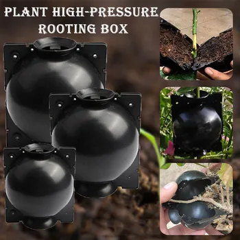 

2pcs New Plant Rooting Ball Grafting Rooting Growing Box Adjustable High-pressure Transplantation Ball Breeding Case For Garden