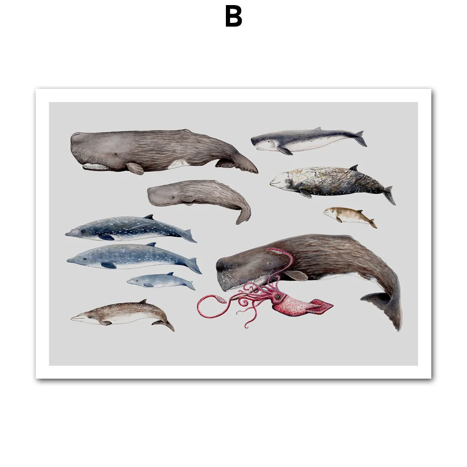 Whale-Dolphin-Marine-Life-Animals-Art-Prints-Wall-Art-Canvas-Painting-Nordic-Posters-And-Prints-Wall (6)