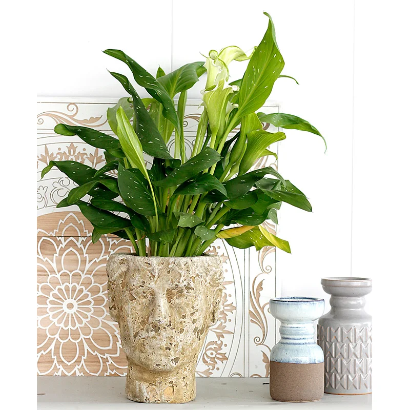 Креативные индивидуальные керамические цветочные горшки с уникальным лицевым