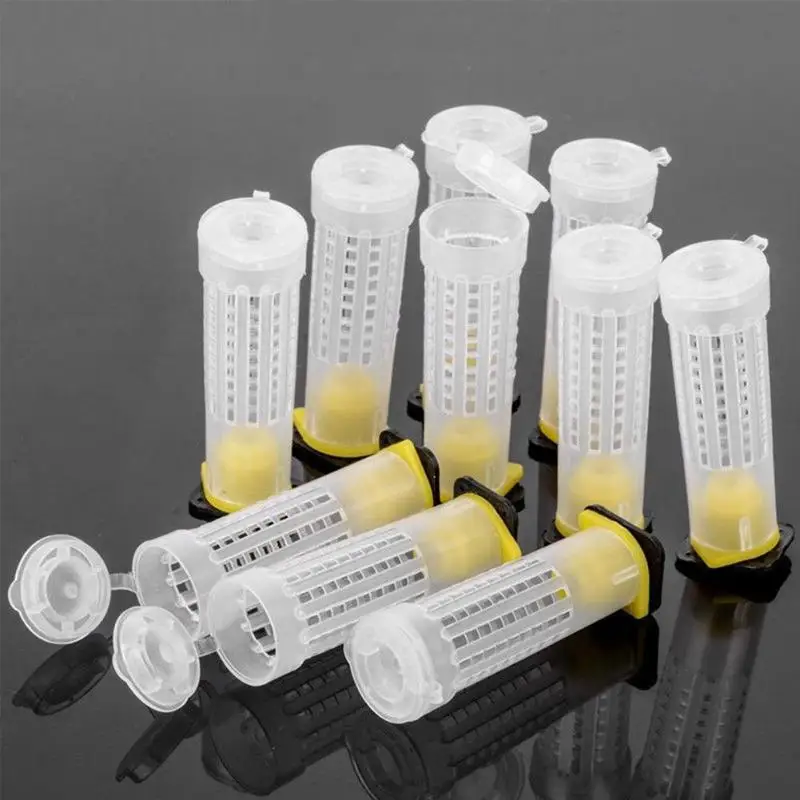 100pcs Beekeeping Equipment Excellent Quality Oxidation Resistance Non Toxic Catcher Feeding Bottle Plastic Marker Tool