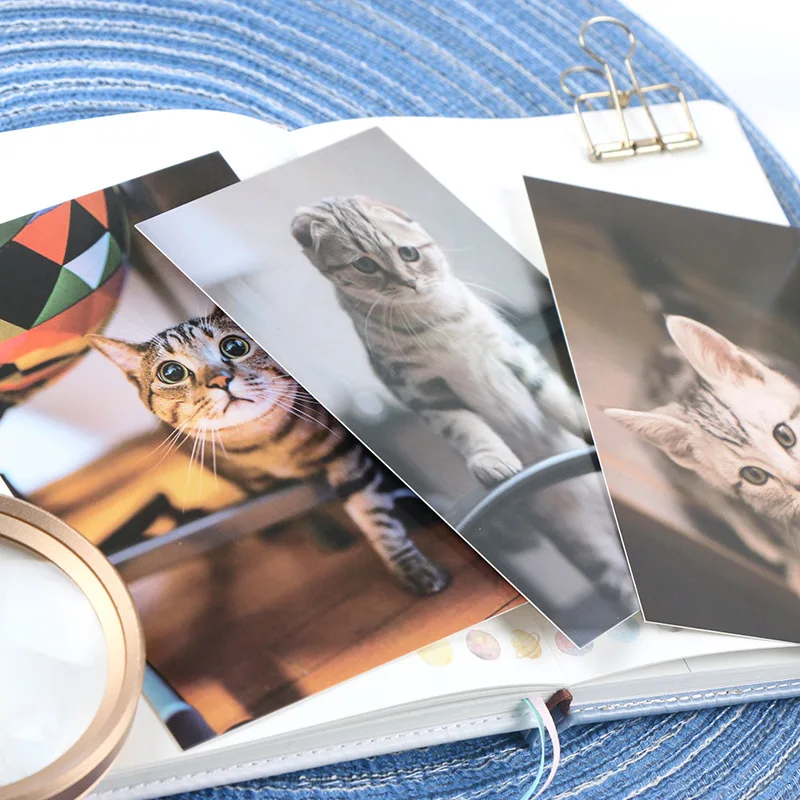 

30pcs Cat Photos Style Card As Party Invitation DIY Decoration Gift Card Message Card Postcard