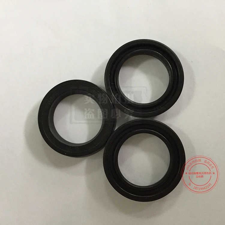 Lutian 3WZ 1810 Brass Triplex Plunger Pump repair kit wearing part