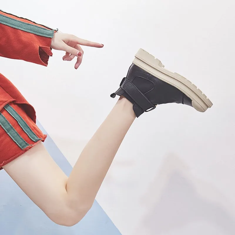 conew_10323653579_43245878