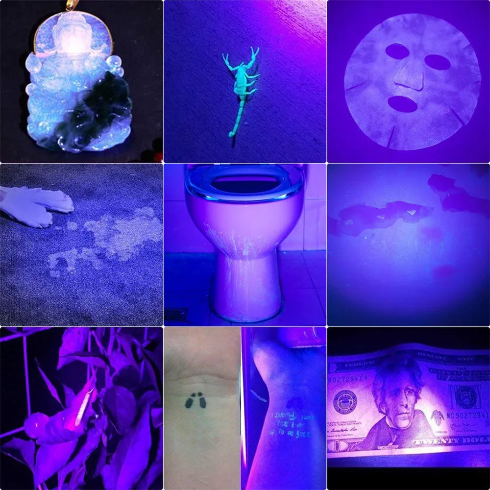 71DesZu0P-L._SL1001_