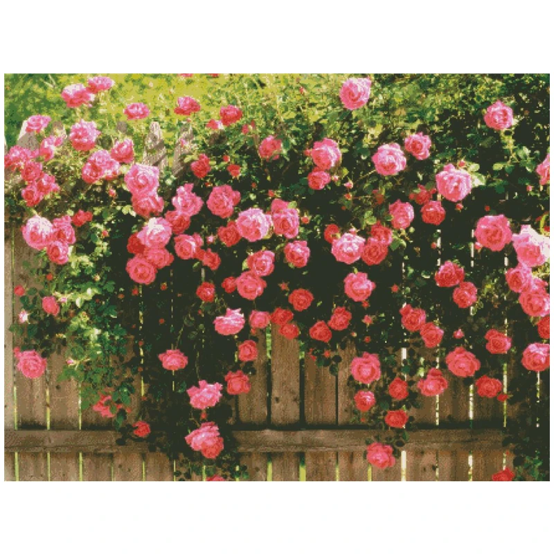 

Roses on the wall cross stitch package big bloom 18ct 14ct 11ct cloth cotton thread embroidery DIY handmade needlework