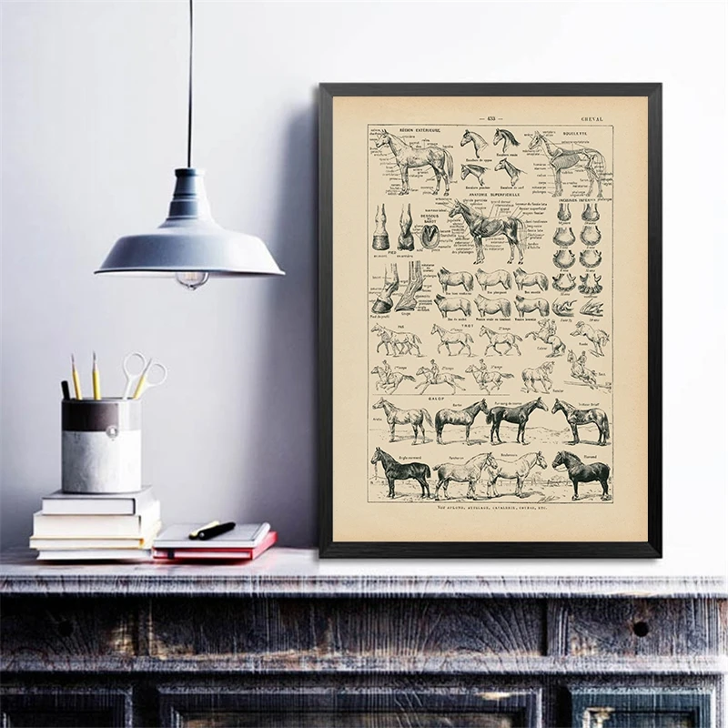 Vintage-French-Horse-Anatomy-Chart-Prints-Biology-Wall-Art-Decor-Horse-Illustration-Animal-Poster-Canvas-Painting