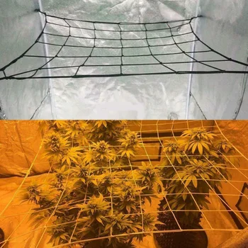 

Grow Tent Bean Elastic Home 8 Hooks Vegetable Garden Supplies Flexible Plant Climbing Fence Trellis Netting