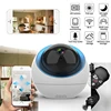 Video Surveillance