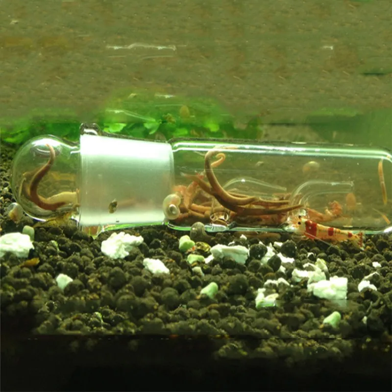 Aquarium Planarian Trap for Fish Tank Worm Pest Catch Leech Catcher For Flatwormnew | Дом и сад